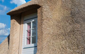 Amcotts thatch roof disadvantages